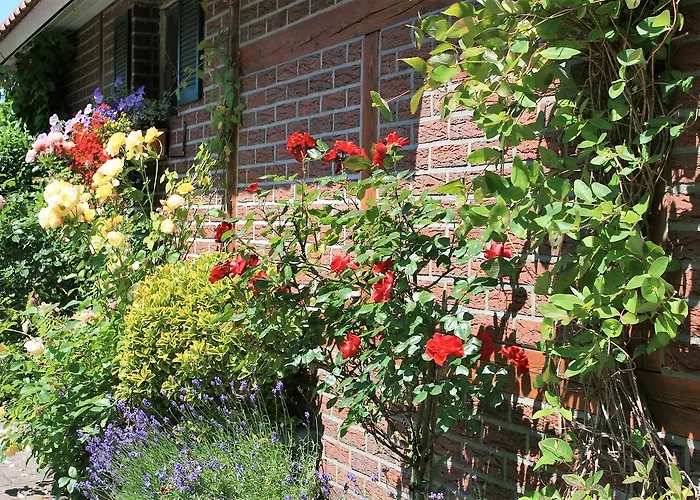 Landhaus Wremer Deel 3*